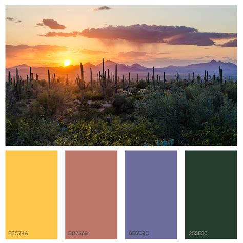 Desert Sunset Color Combinations