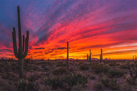 Desert Sunset Inspiration