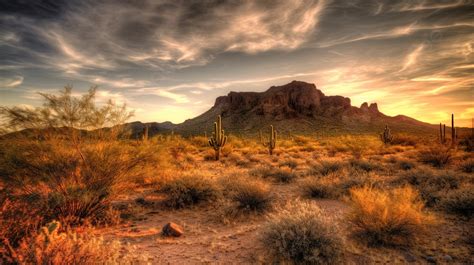 Desert Sunset Landscape