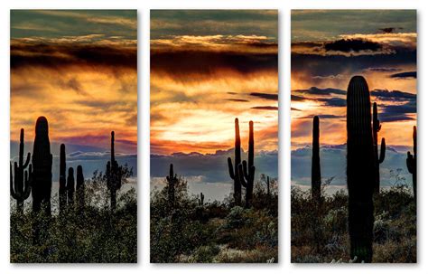 Desert Sunset Wall Art