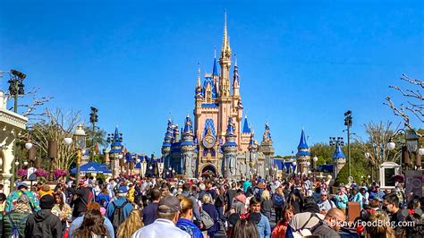 Disney Crowds