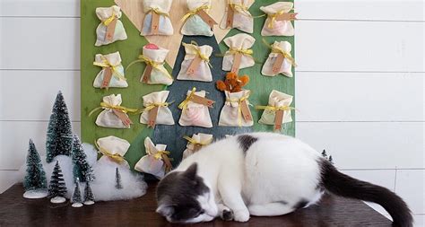 DIY Cat Advent Calendars