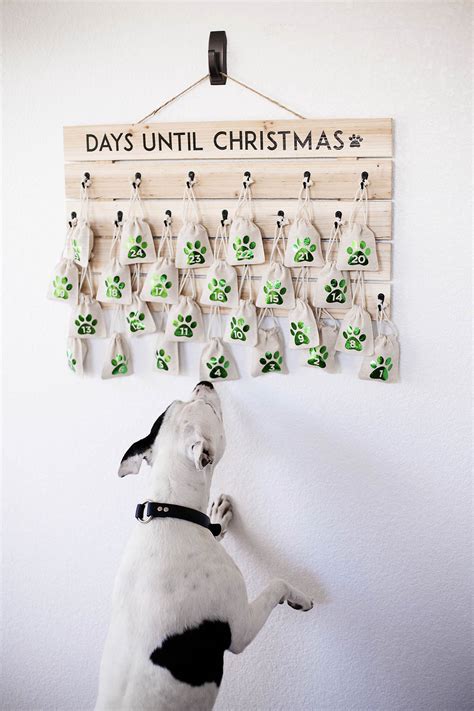 DIY Dogs Advent Calendar