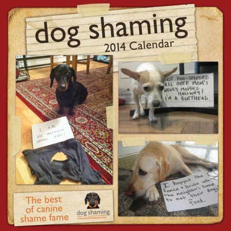 dog calendar ideas