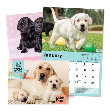 dog calendar printing