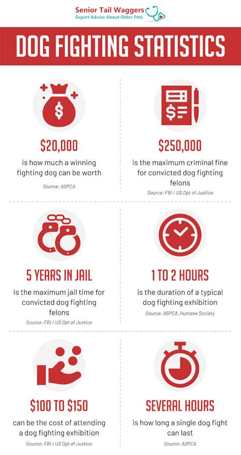 Dog fighting statistics