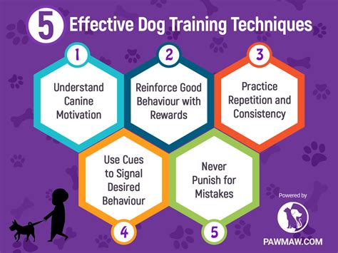 Dog Training