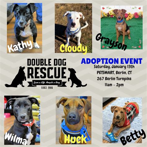 Double Dare Dog Rescue Event