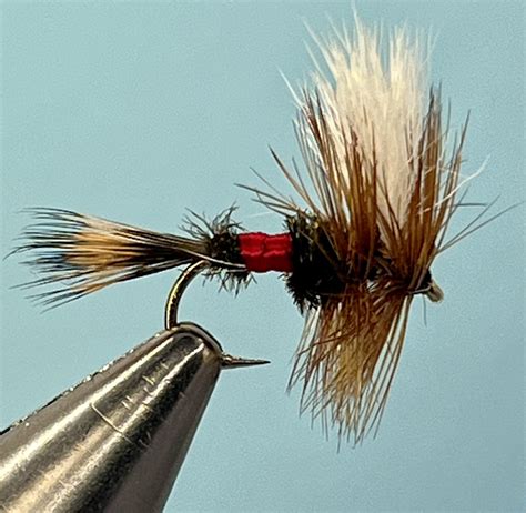 Dry Fly Fishing