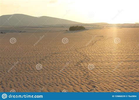 Dunas Sand