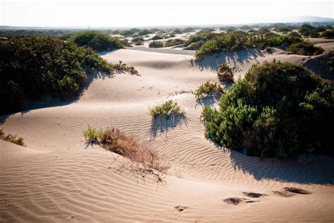 Dunas Tourism