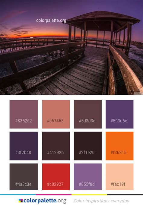 Dusk Color Palette Branding