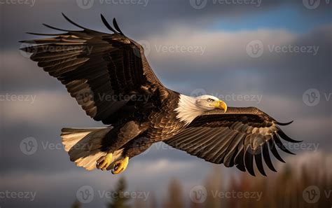 Eagle Soaring in the Clouds