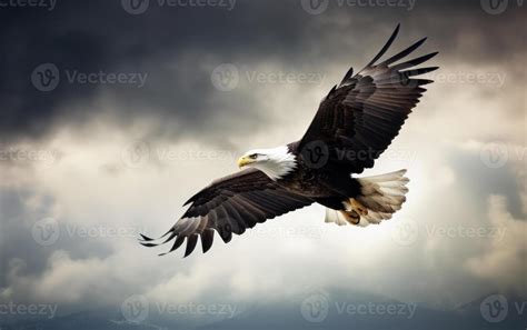 Eagle Soaring in the Sky