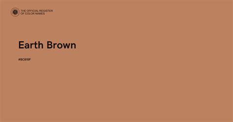 Earthy browns for warm skin tones