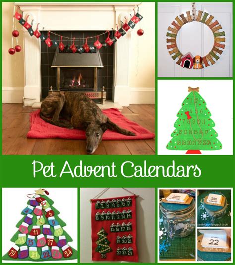 Eco-Friendly Pet Advent Calendars