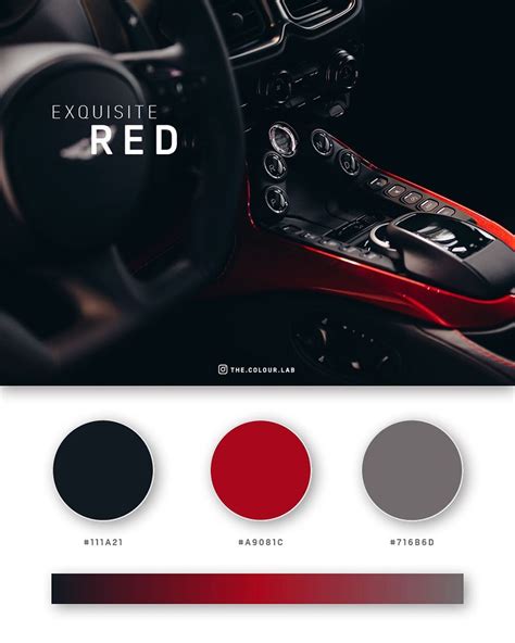 Elegant Red Black Color Palette Design Inspiration