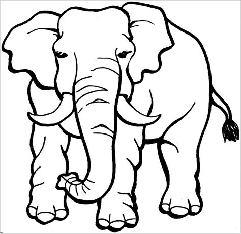 Elephant coloring printables