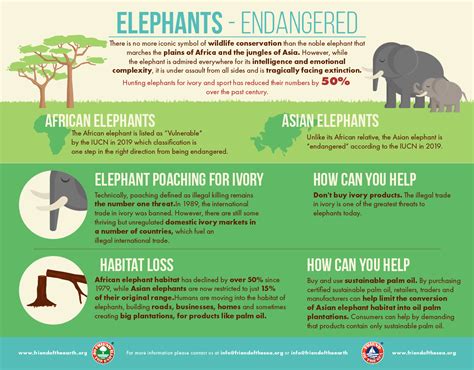 Elephant Conservation Awareness