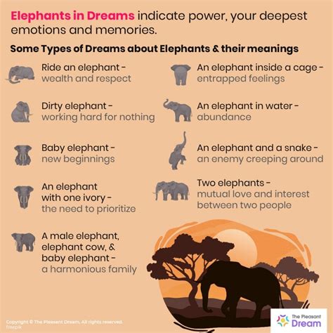 Elephant dreams meaning