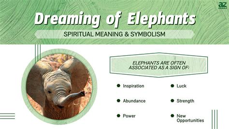 Elephant dreams symbolism