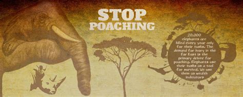 Elephant Poaching Prevention