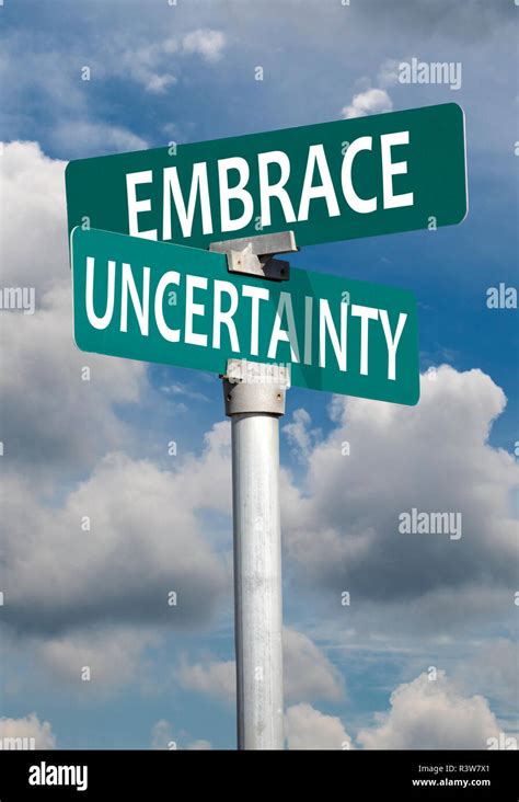 Embracing Uncertainty Image