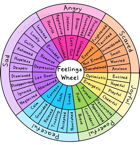 Emotion Wheel with Reflection Questions