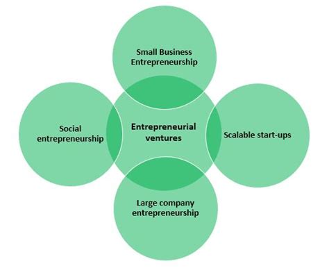 Description of Entrepreneurial Ventures