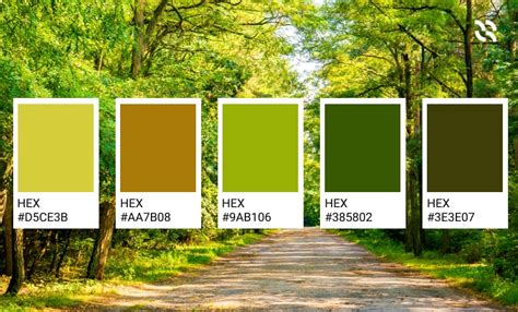 Environmental Colors