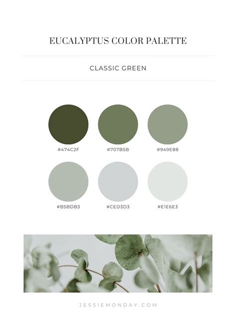 Eucalyptus Color Palette