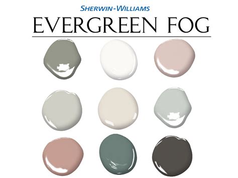 Evergreen Fog color palette in graphic design