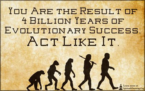 Evolutionary Success