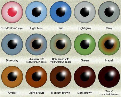 Eye Color Types