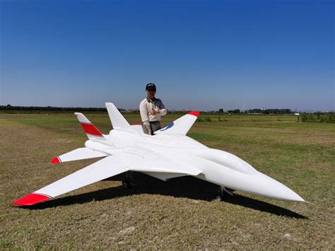 F14 RC Plane Image 5