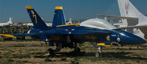 F14 Tomcat Blue Angels