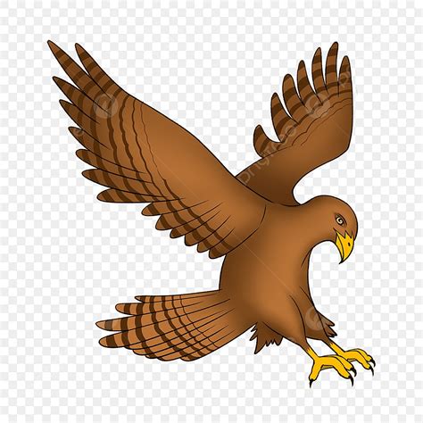 Falcon Group Clip Art