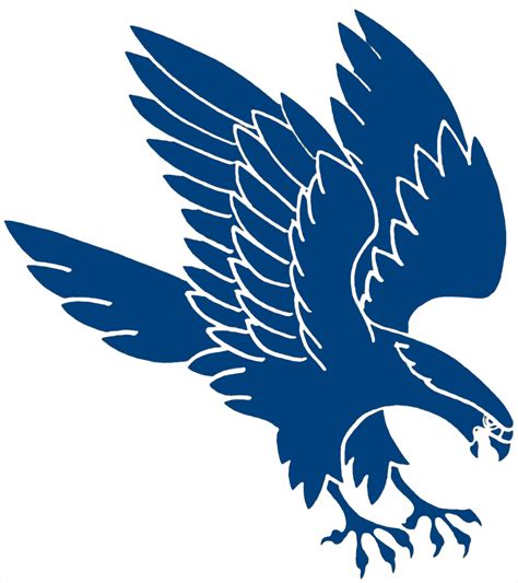 Falcon Group Icon PNG