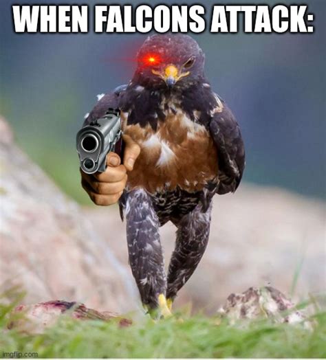 Falcon Group Memes