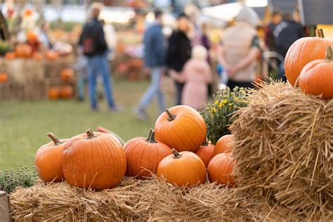 Fall Festivals