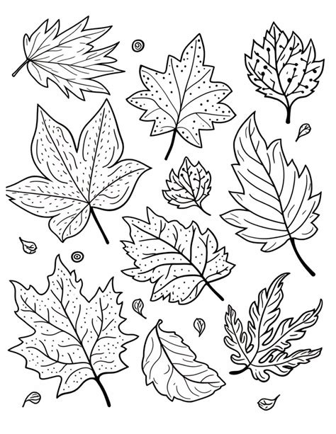 Fall leaves coloring pages