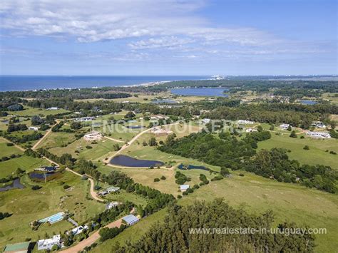 Family and Community in Uruguay