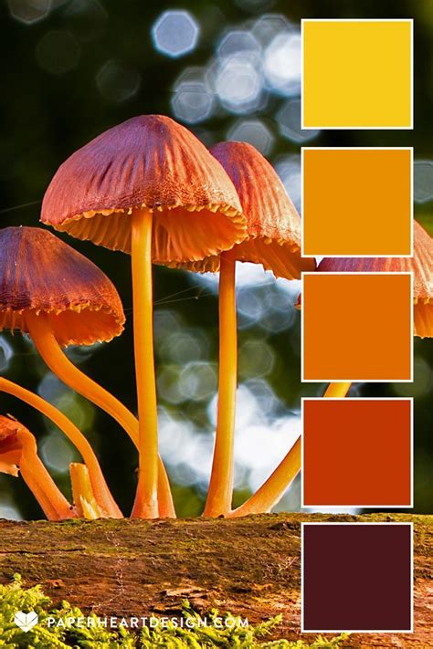 Fantasy Mushroom Palette