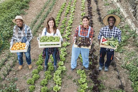 Farmer-owned cooperative future