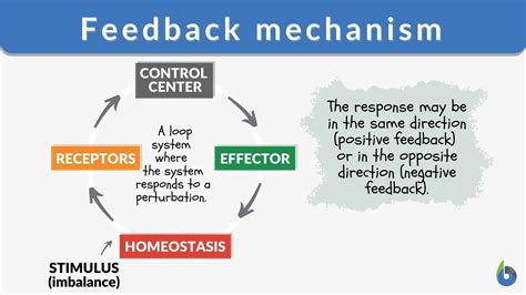 Feedback Mechanisms