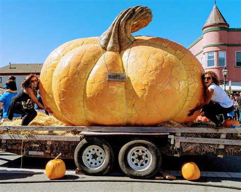 Festive pumpkins