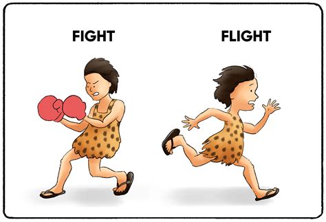 fight or flight response