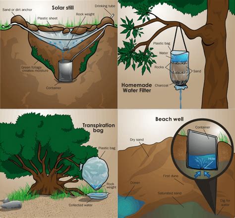 Finding a Way to Purify Water Walking Dead Apocalypse