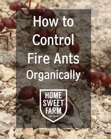 Fire ant control methods