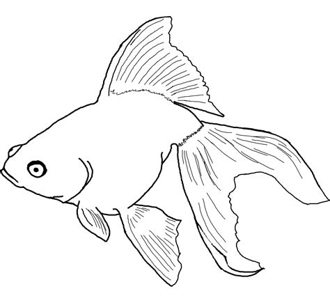 Fish Coloring Pages